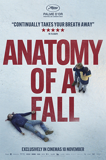 Anatomy of a Fall poster