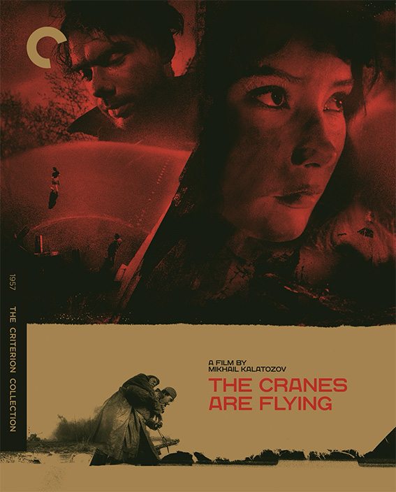 The Cranes Are Flying Blu-ray cover art