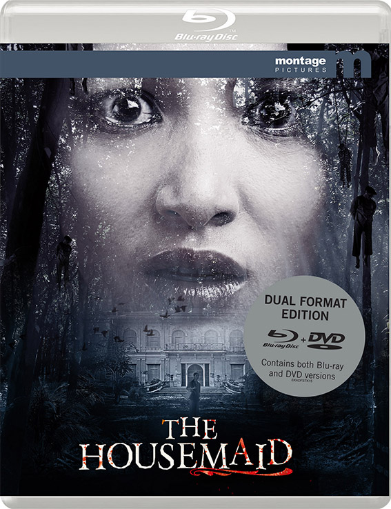 The Housemaid Blu-ray pack shot