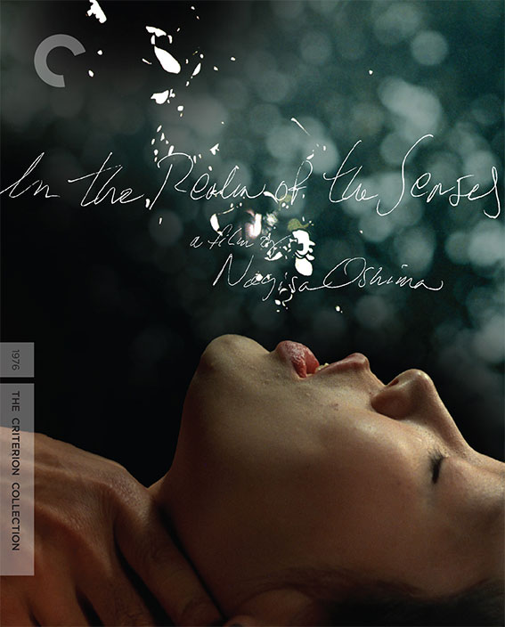In the Realm of the Senses Blu-ray cover art