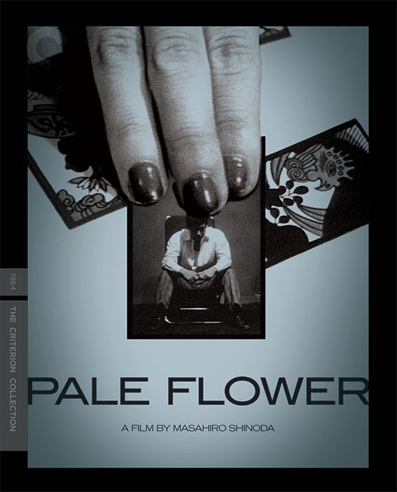 Pale Flower Blu-ray cover art