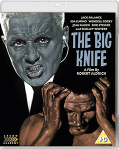 The Big Knife cover