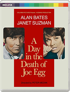 A Day in the Death of Joe Egg dual format cover