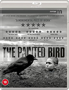 The Painted Bird Blu-ray cover