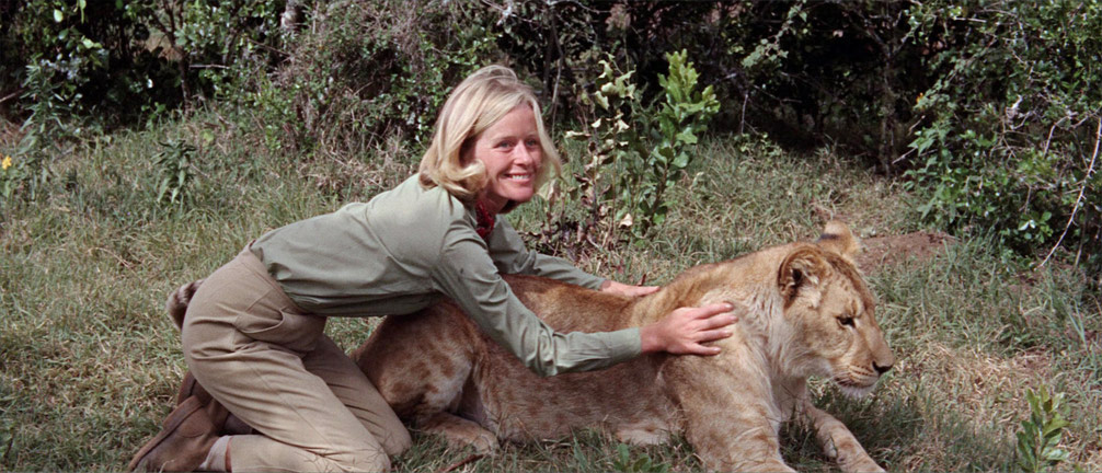 Virginia McKenna as Joy Adamson with Elsa