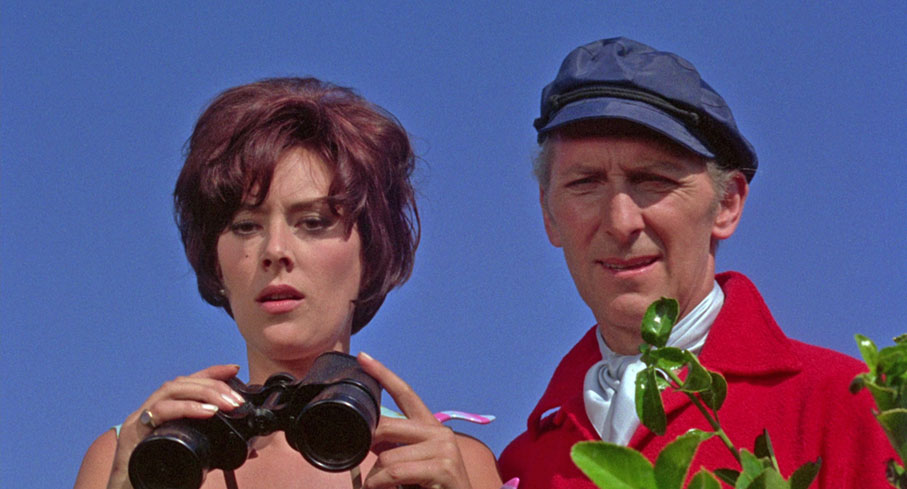 John and Lynn Observe Terry from their clifftop garden in Seaford