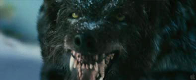 the grey movie wolf