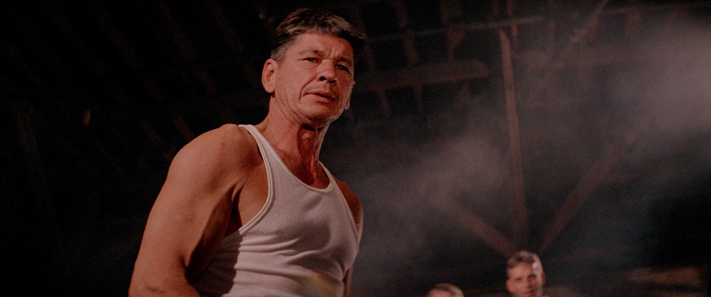 Charles Bronson as Chaney