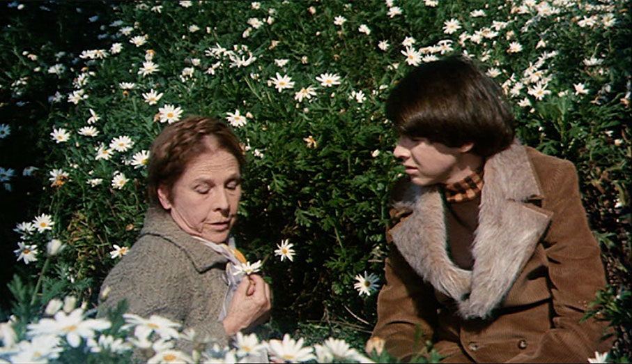 Harold and Maude