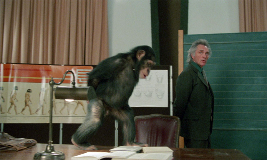 Dr. Steven Phillip and chimp