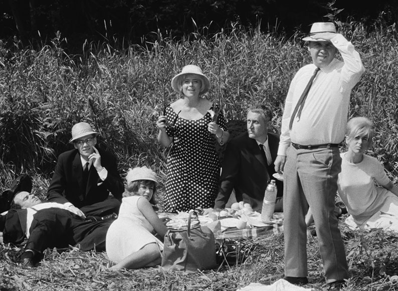 The guests observe a distant wedding party while picnicking
