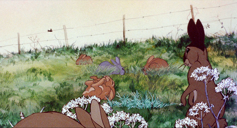 Watership Down