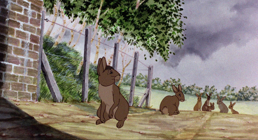 Watership Down