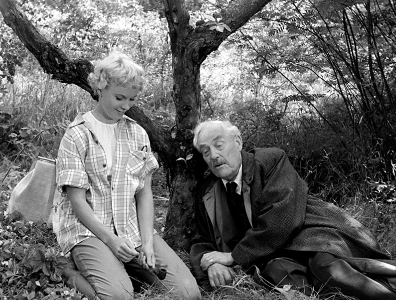 Wild Strawberries